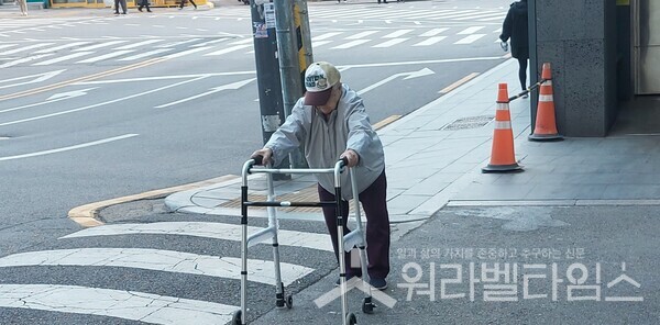 100세실버카 이미지
